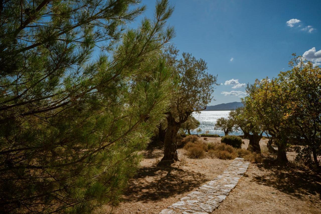 Вилла Seafront Traditional Stone House In Sunset Olive Grove - B Alyfanta Экстерьер фото